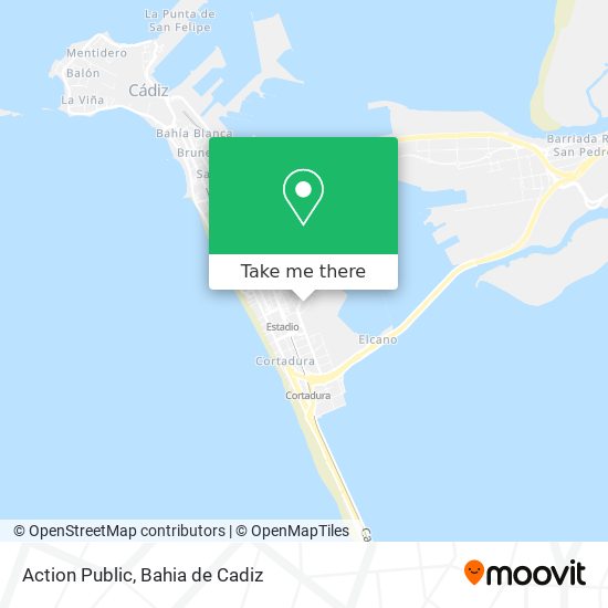 Action Public map