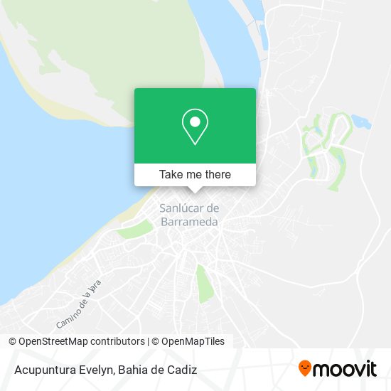 Acupuntura Evelyn map
