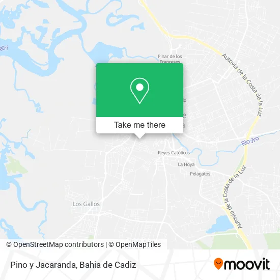 Pino y Jacaranda map