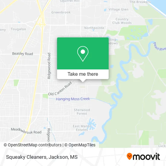 Squeaky Cleaners map