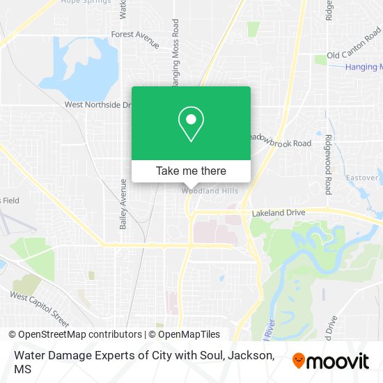 Mapa de Water Damage Experts of City with Soul