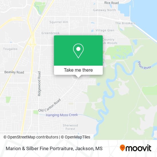 Marion & Silber Fine Portraiture map