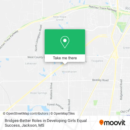 Bridges-Better Roles in Developing Girls Equal Success map