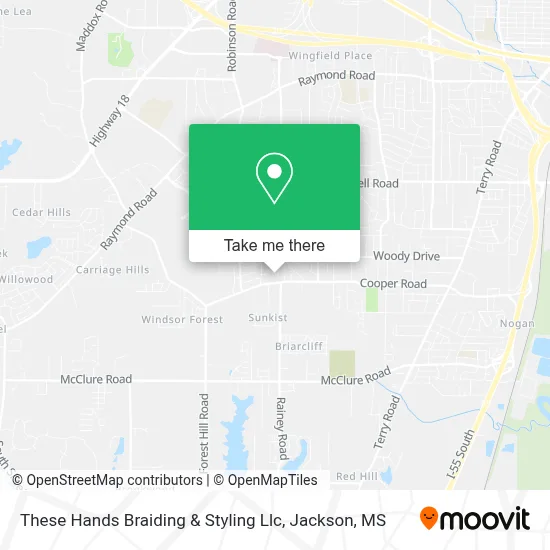 These Hands Braiding & Styling Llc map
