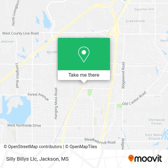 Silly Billys Llc map