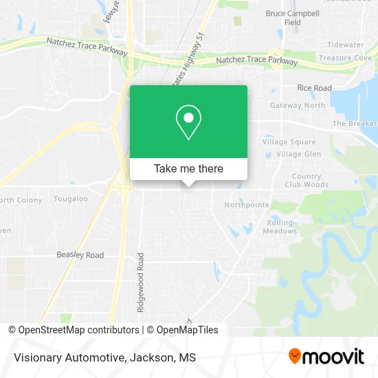 Visionary Automotive map