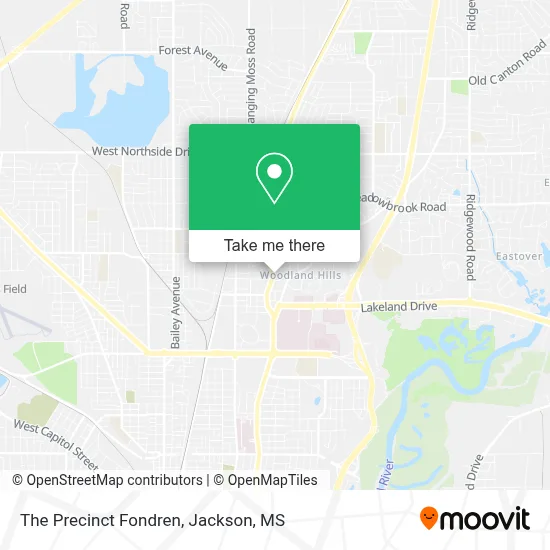 The Precinct Fondren map