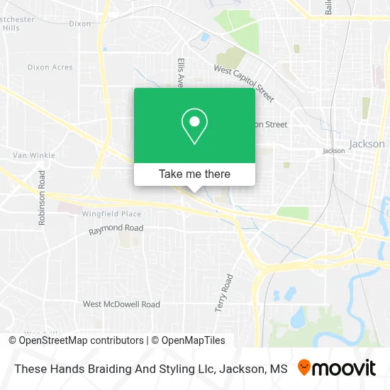 These Hands Braiding And Styling Llc map