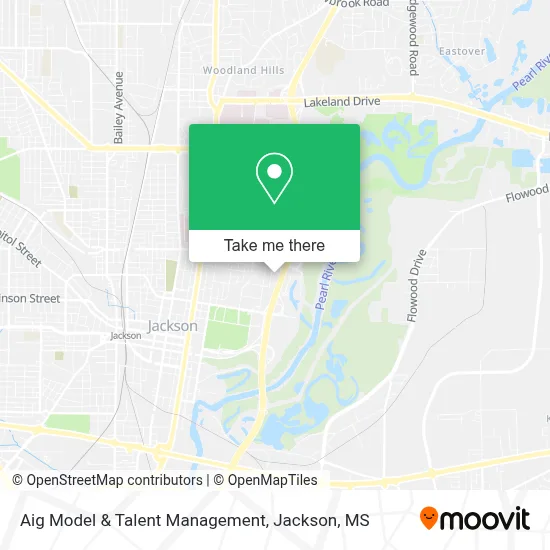 Aig Model & Talent Management map