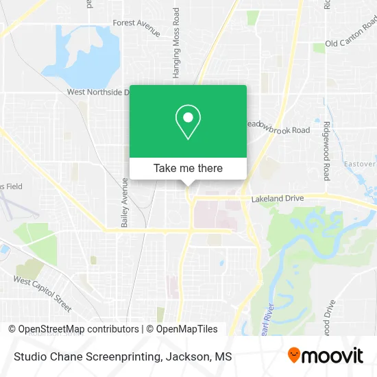Studio Chane Screenprinting map