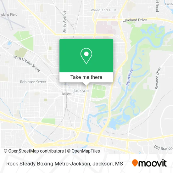 Rock Steady Boxing Metro-Jackson map