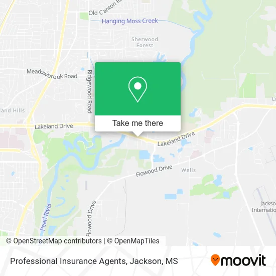 Professional Insurance Agents map