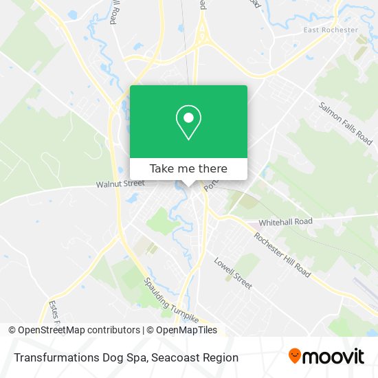 Mapa de Transfurmations Dog Spa