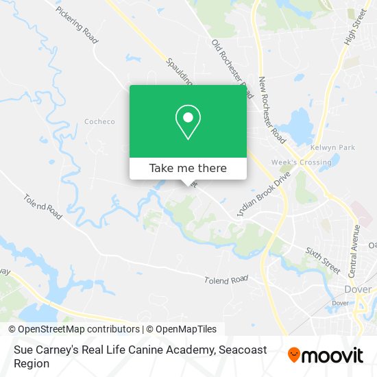 Sue Carney's Real Life Canine Academy map