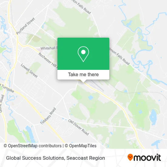 Global Success Solutions map