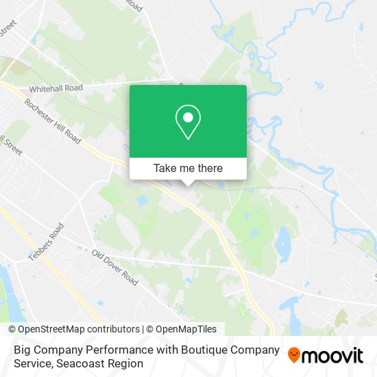 Big Company Performance with Boutique Company Service map