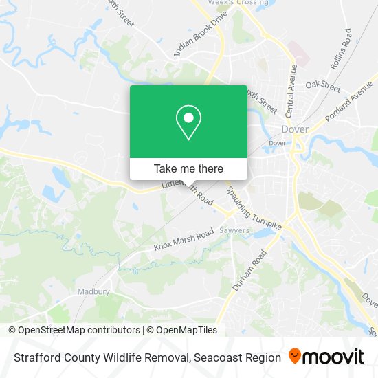 Mapa de Strafford County Wildlife Removal