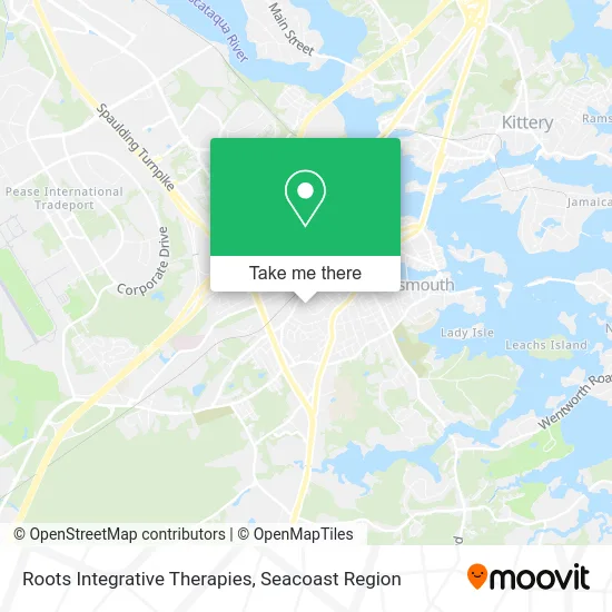 Roots Integrative Therapies map