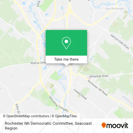 Rochester Nh Democratic Committee map