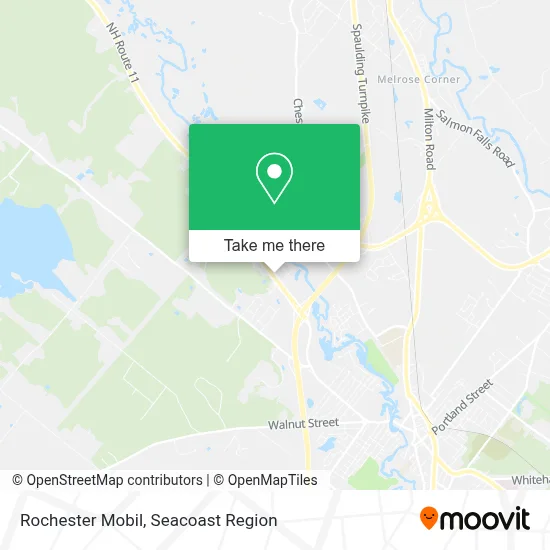 Rochester Mobil map