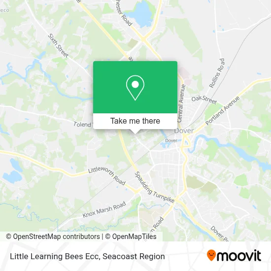 Little Learning Bees Ecc map