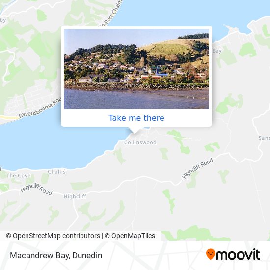 Macandrew Bay map