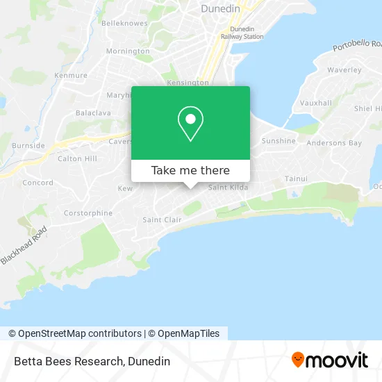 Betta Bees Research map