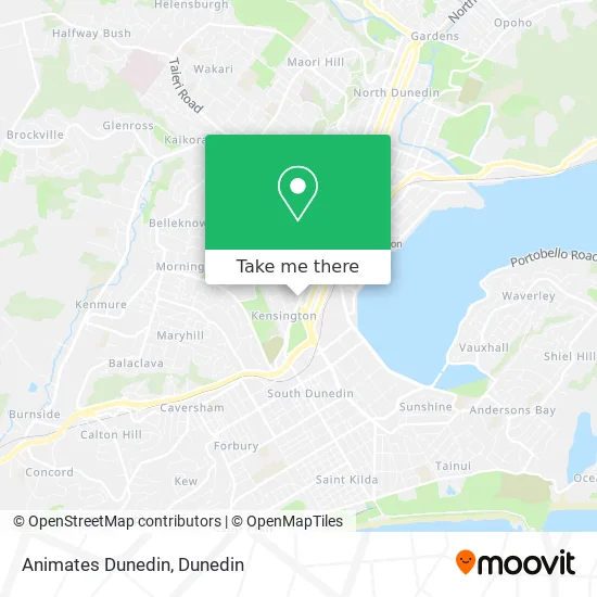 Animates Dunedin map