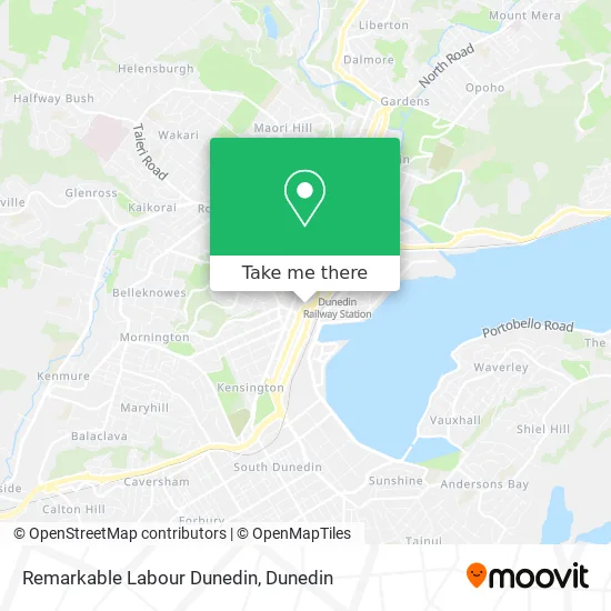 Remarkable Labour Dunedin map