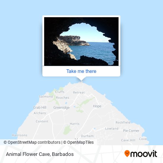Animal Flower Cave map