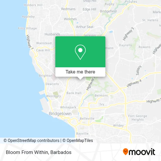 Bloom From Within map