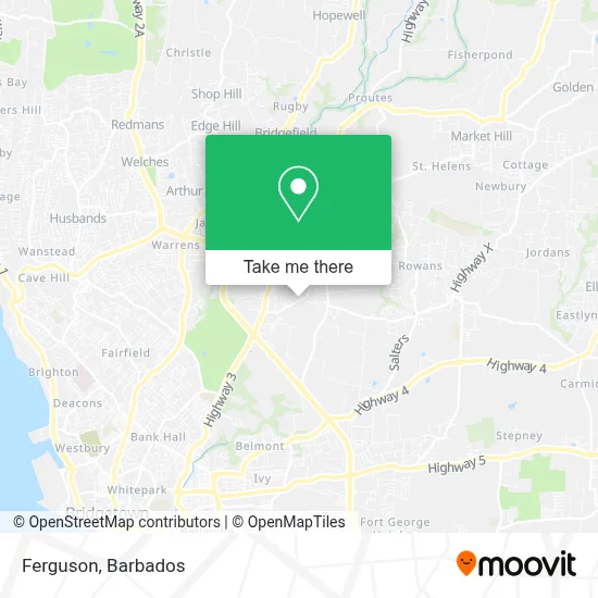 Ferguson map
