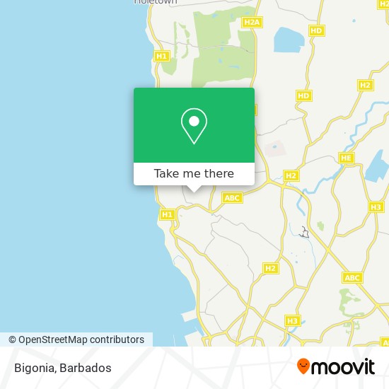 Bigonia map