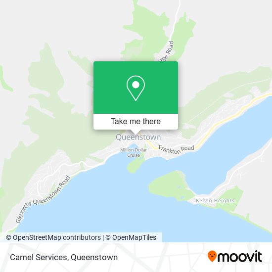 Camel Services map