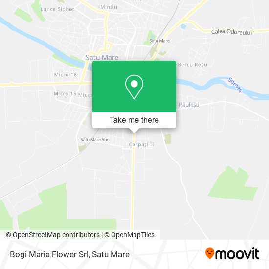 Bogi Maria Flower Srl map