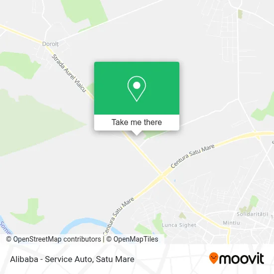 Alibaba - Service Auto map