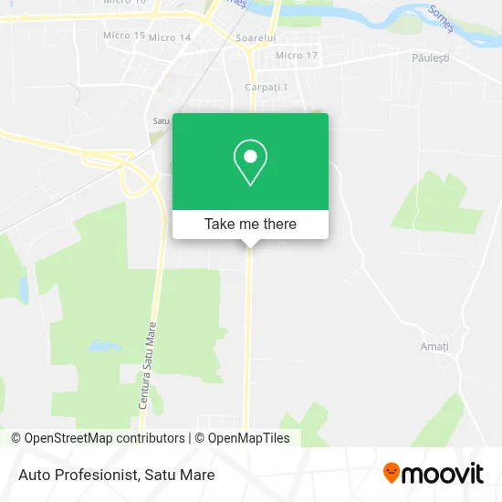 Auto Profesionist map