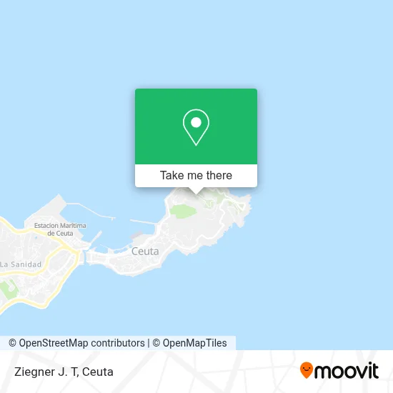 Ziegner J. T map