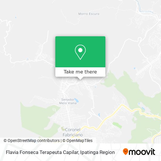 Flavia Fonseca Terapeuta Capilar map