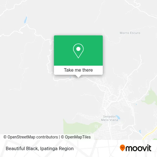 Beautiful Black map