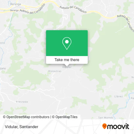 Vidular map