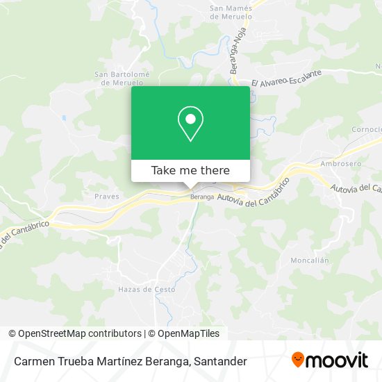 Carmen Trueba Martínez Beranga map