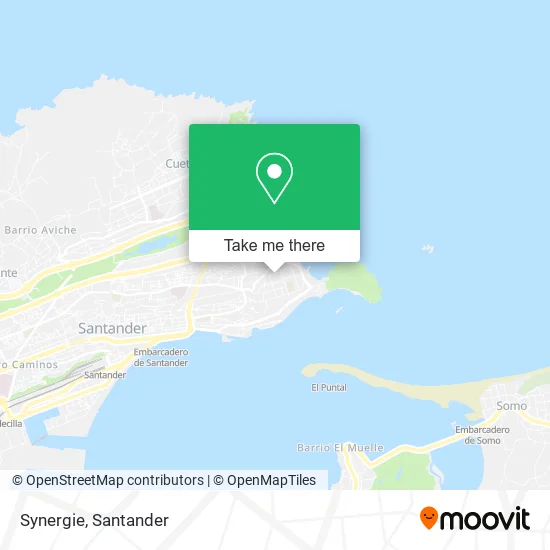 Synergie map