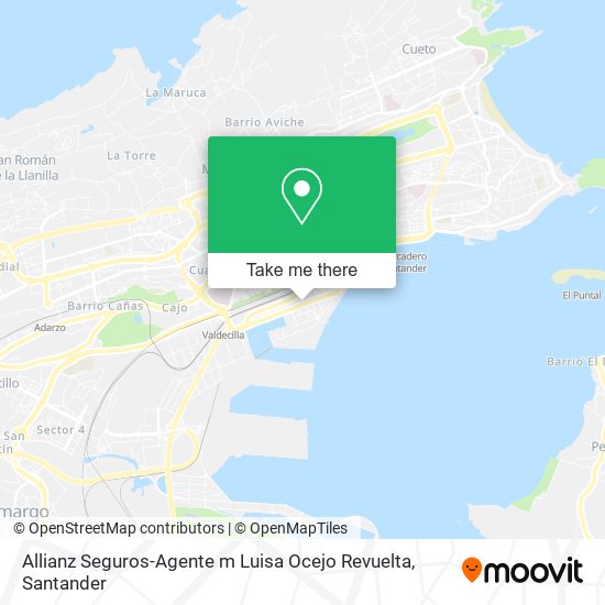 Allianz Seguros-Agente m Luisa Ocejo Revuelta map