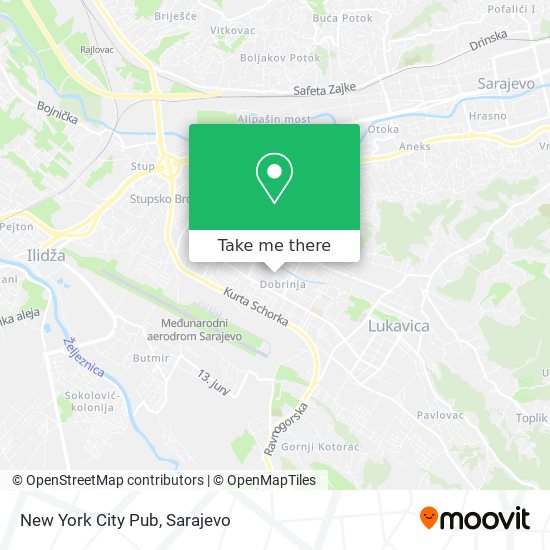 New York City Pub map