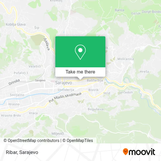 Ribar mapa