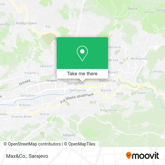 Max&Co. mapa