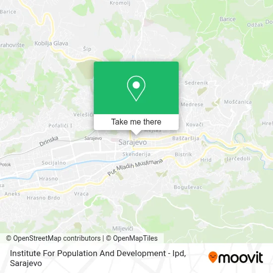 Institute For Population And Development - Ipd mapa