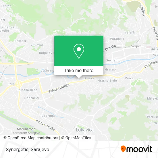 Synergetic map