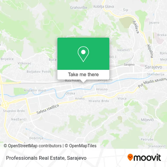 Professionals Real Estate mapa